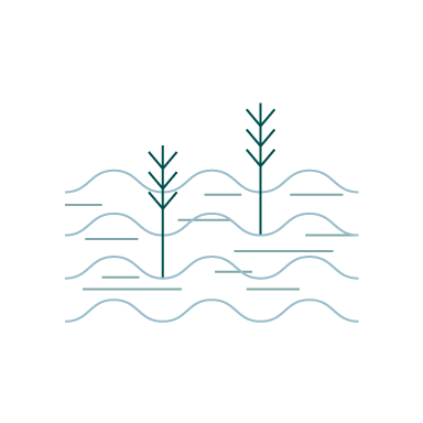 Metals segment launched a pilot project to water